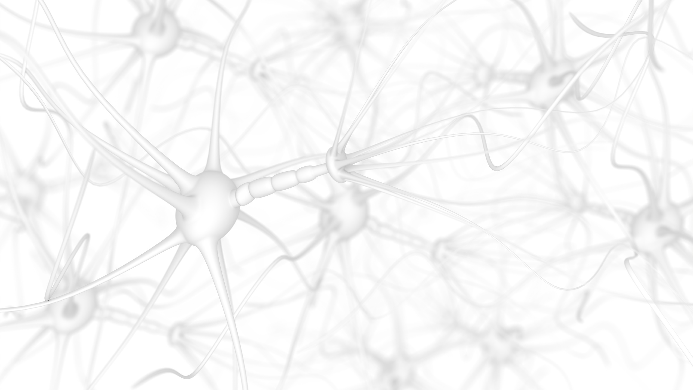 Neuron cells on white